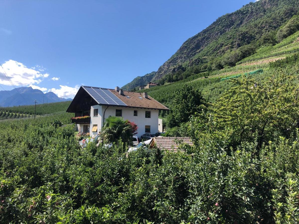Apartamento Pixnerhof - Urlaub Am Biohof Castelbello Exterior foto