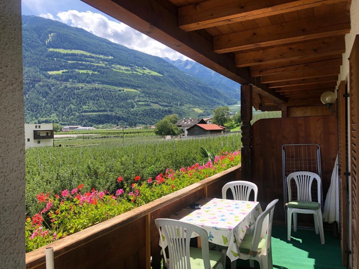 Apartamento Pixnerhof - Urlaub Am Biohof Castelbello Exterior foto
