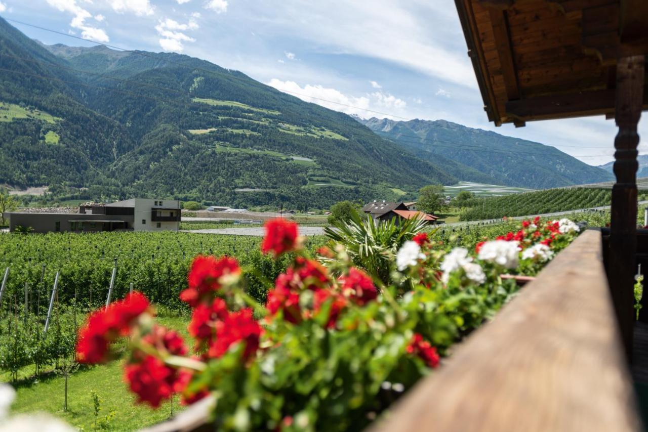 Apartamento Pixnerhof - Urlaub Am Biohof Castelbello Exterior foto